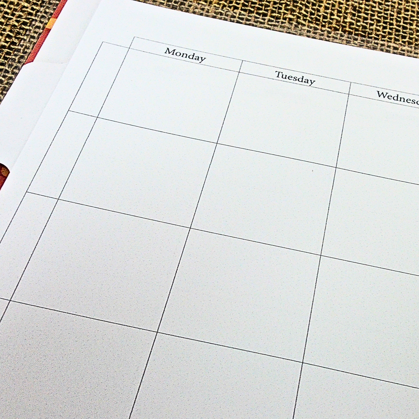 Wild & Free Disc Bound Homeschool Planner | 12 month | Undated