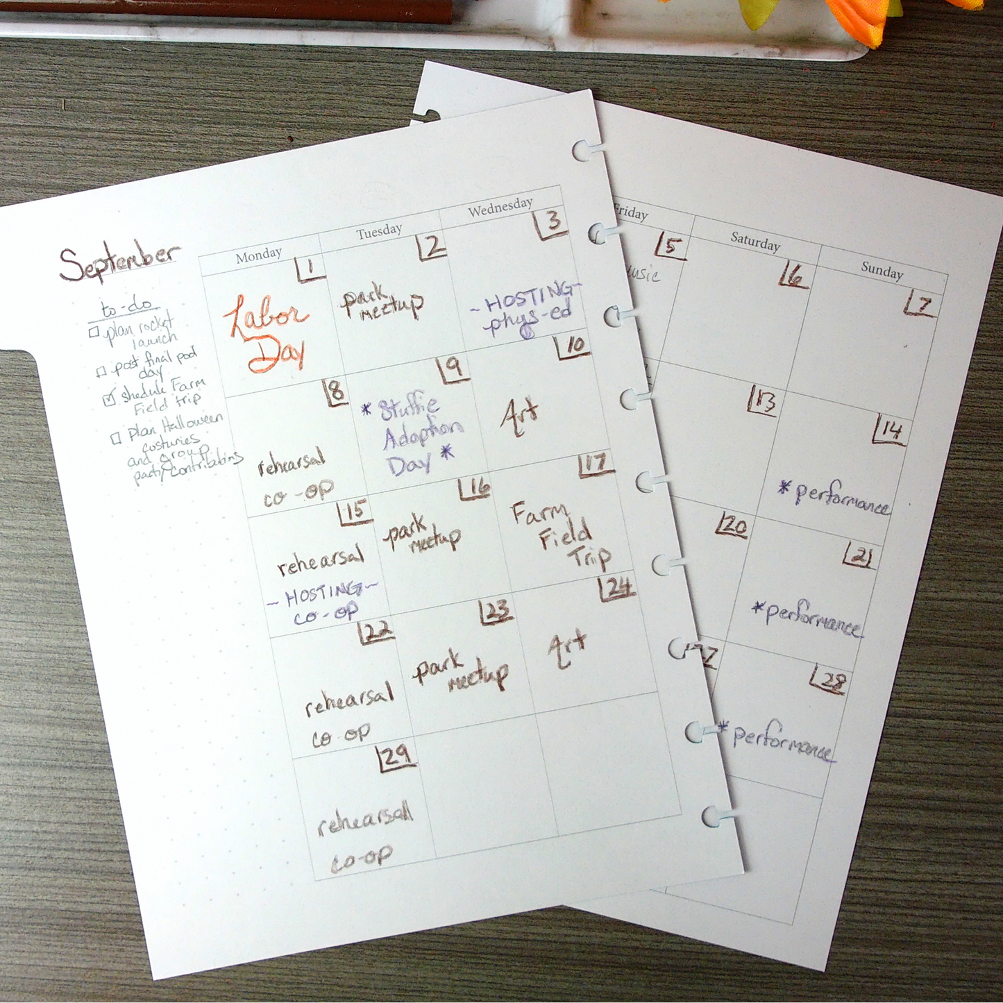 Wild & Free Disc Bound Homeschool Planner | 12 month | Undated