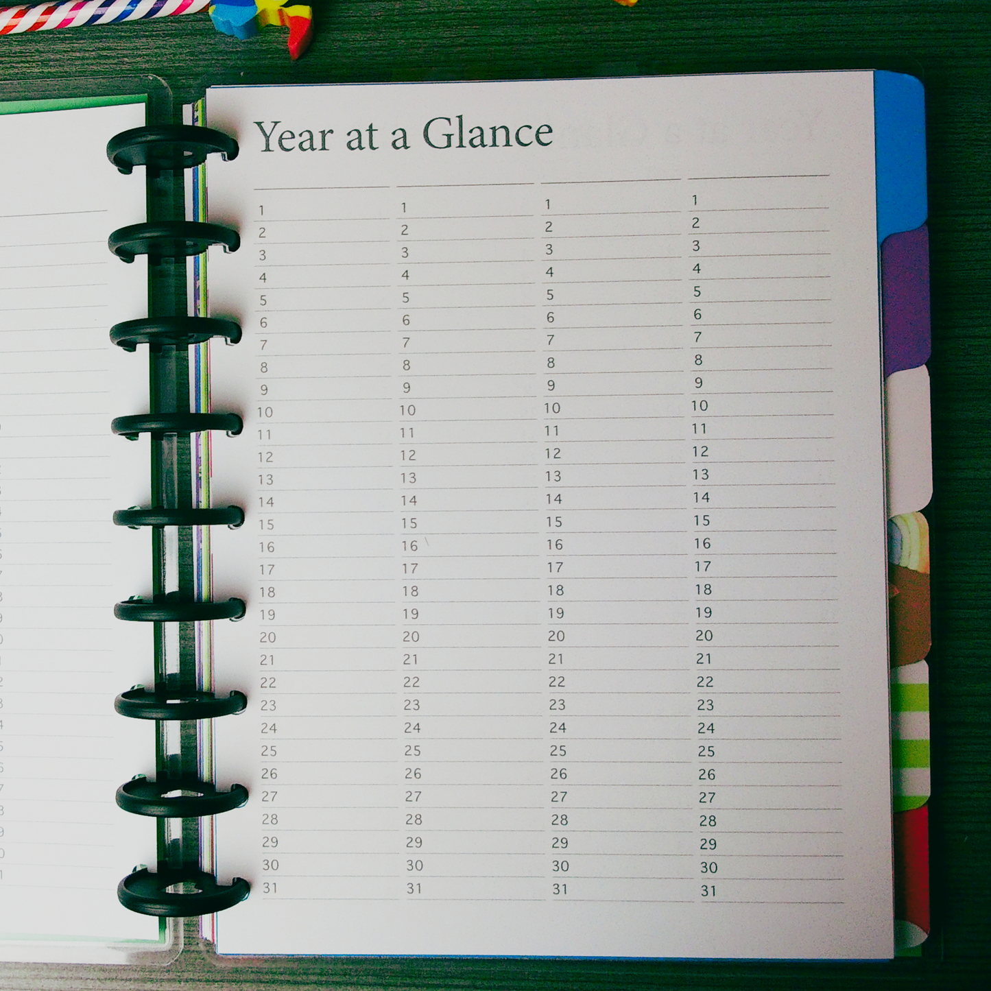 Wild & Free Disc Bound Homeschool Planner | 12 month | Undated